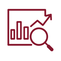 Cas Web Design - Posicionamiento Web - Resultados medibles - icon - posicionamiento web en Puerto Rico