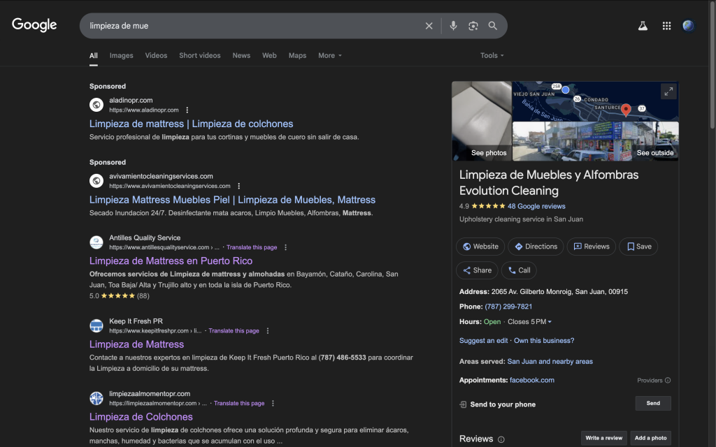 Cas Web Design - Limpieza al Momento - Google Search Result